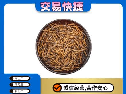 宁德古田县高价回收散虫草